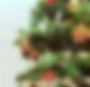 В Самаре устанавливают главную новогоднюю елку