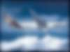 Airbus создаст прямого конкурента самолету Boeing 7E7