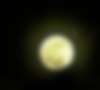 Сегодня наблюдается самая яркая и большая полная луна 2010 года. Такую луну также называют «волчьей»