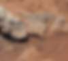 "Кьюриосити" обнаружил на Марсе русло древнего ручья