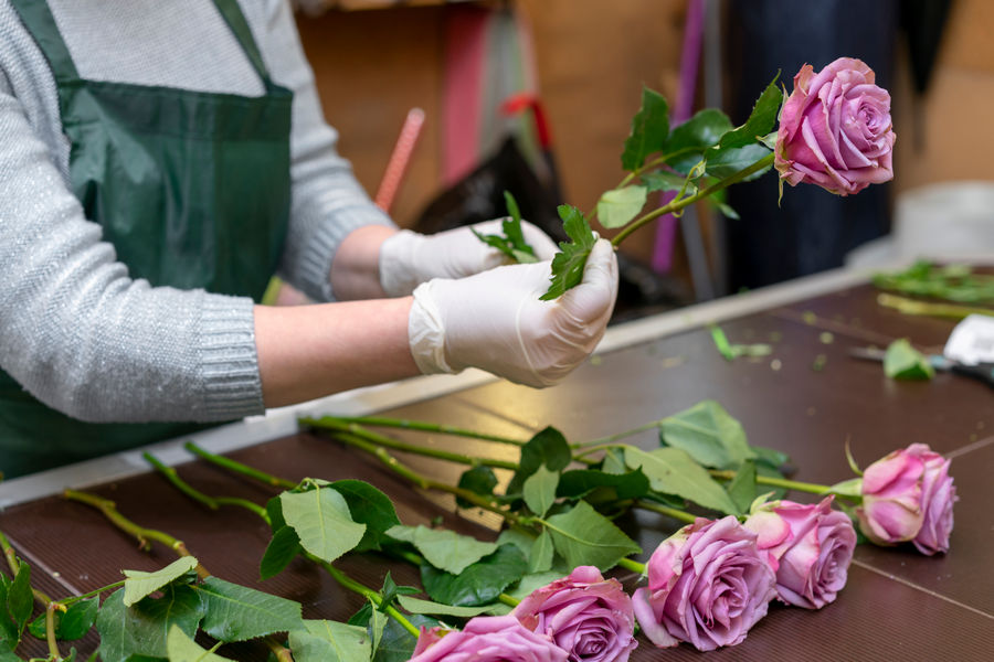 Готовы ли российские производители нарастить выращивание роз?
